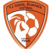 https://img.qionghaitjq.com/img/football/team/5477d301041e00b2de35d5eeea2fabb4.png