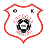 https://img.qionghaitjq.com/img/football/team/b71b7bfab3d42c691e953977143504e5.png